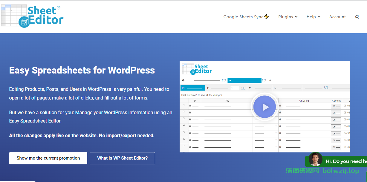 WordPress表格插件 WP Sheet Editor Pro v2.25.5破解版下载